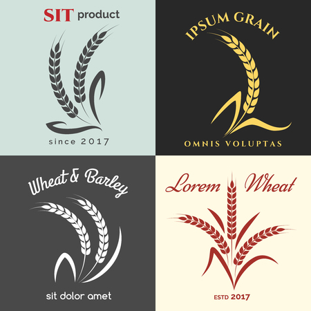 Ears of wheat logo set for bakery. Premium quality grains product labels vector illustrationのイラスト素材