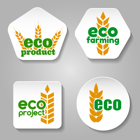 Ear of wheat labels templates. Eco grain product logo or badge vector setのイラスト素材