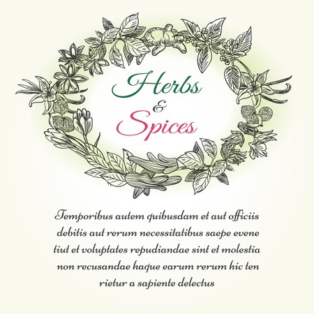 Natural herbal seasonings frame with text for health lifestyle vector designのイラスト素材