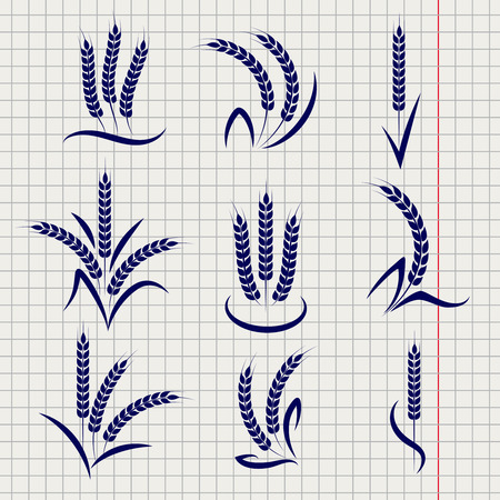 Wheat branches on notebook page background. Vector agriculture symbols designのイラスト素材