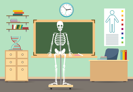Anatomy classroom interior vector illustration. Empty class room with human skeleton for biology school literature lessonのイラスト素材