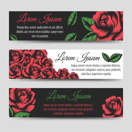 Red rose flowers horizontal banners template, vector illustrationのイラスト素材