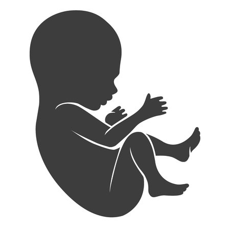 Human fetus icon or newborn and unborn baby silhouette isolated on white background. Vector illustrationのイラスト素材