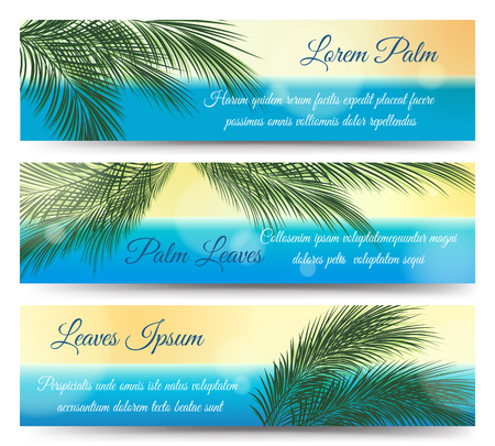 Palm leaves banners. Hawaii and guadeloupe tropical vector summer green jungle and sea banner design.のイラスト素材