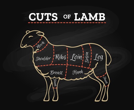 Lamb cuts chart. Sheep or lambs meat steak butcher chalkboard scheme in retro hand drawn style vector illustration.のイラスト素材