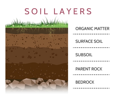 Dirt layers. Soil layer scheme with grass and roots, earth texture and stones vector illustrationのイラスト素材