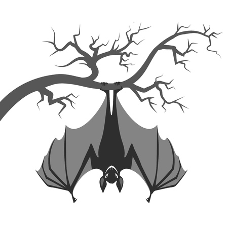 Bat on branch. Halloween bat hanging on tree isolated on white background, vampire dream vector illustrationのイラスト素材