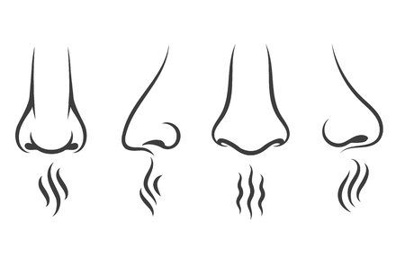 Nose smell icons. Human smelling and breathe nose senses isolated on white backgroundのイラスト素材