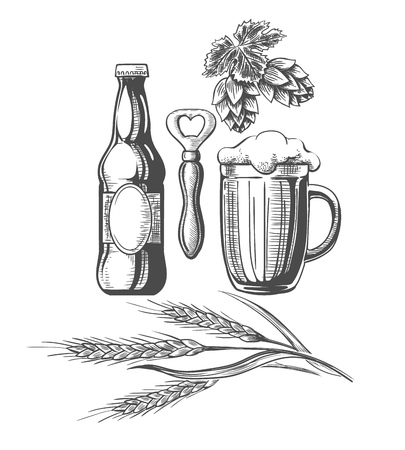 Beer sketch elements. Drawing hand drawn items, beer bottle and mug, bitter hop, vintage wheat ingredients for craft brewery graphics, vector illustrationのイラスト素材