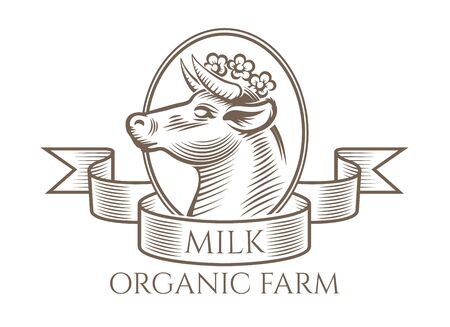 Engraving vintage sketch cows head sign isolated on white background for milk or dairy produce, vector illustrationのイラスト素材