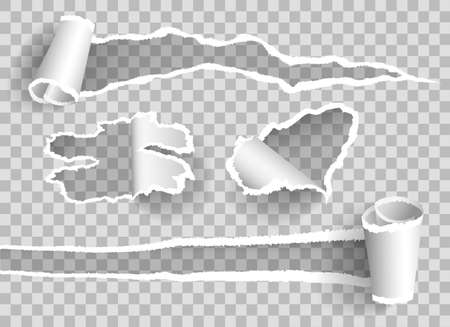 Curled ripped paperのイラスト素材
