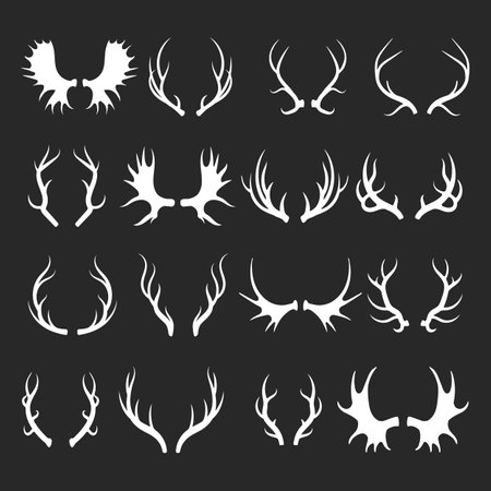 Vector deer antlers isolatedのイラスト素材