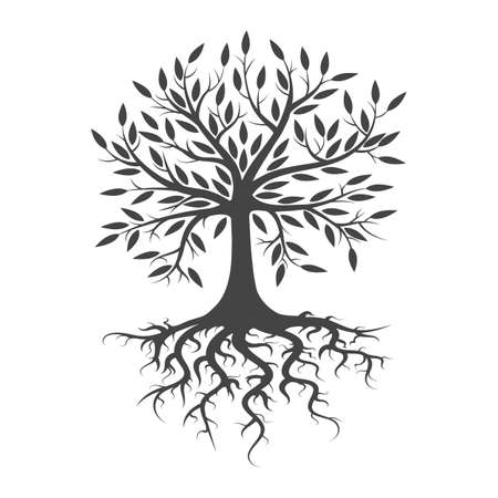 Roots crown treeのイラスト素材