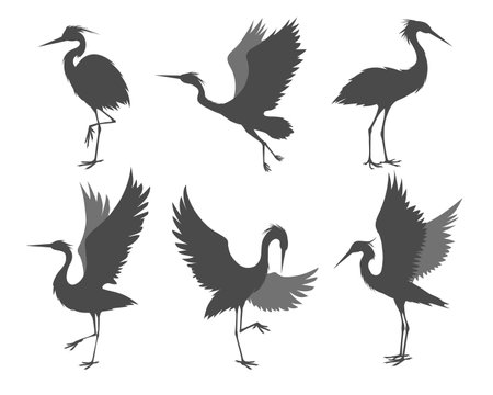 Heron poses silhouettesのイラスト素材