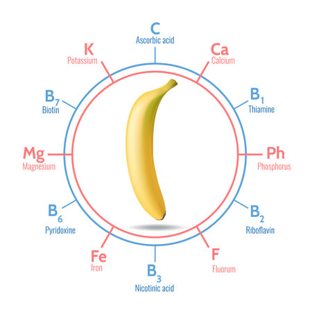 Benefits of bananaのイラスト素材