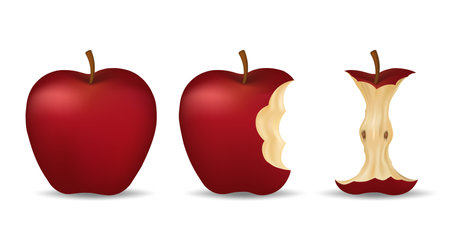Realistic bitten appleのイラスト素材