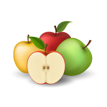 Realistic colorful applesのイラスト素材