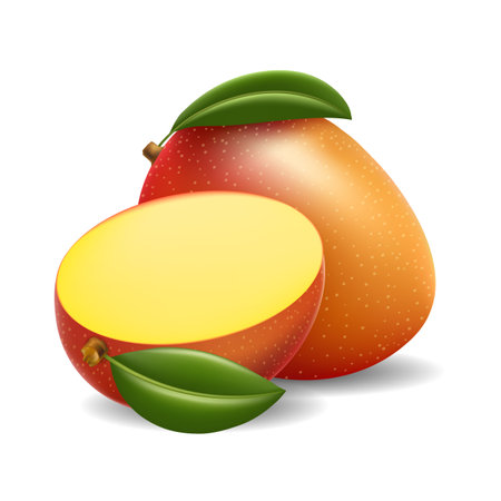 Ripe tropical mangoのイラスト素材