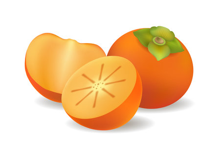 Whole and half persimmonsのイラスト素材