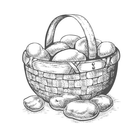 Potatoes basket sketchのイラスト素材