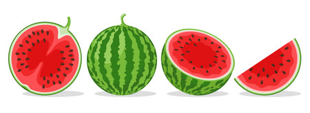 Cartoon watermelon setのイラスト素材