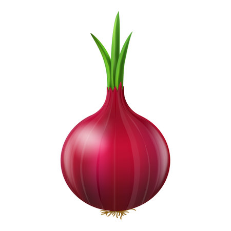 Onion 3d bulb isolatedのイラスト素材
