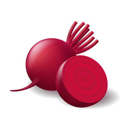 Photo realistic fresh beetroot vegetableのイラスト素材