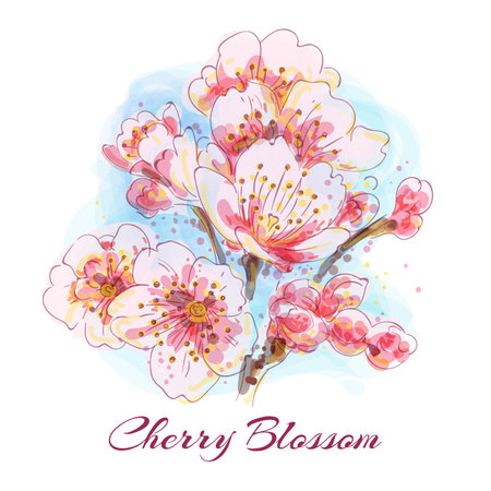 Blossoming cherry watercolor sketchのイラスト素材
