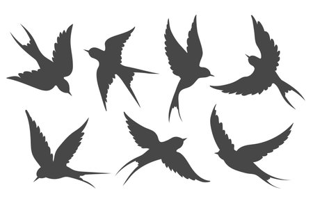 Flying swallows silhouettes isolated. Swift black swallow icons with wings spread, springtime flocked birds collection vector illustrationのイラスト素材