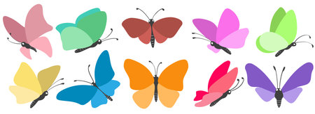 Hand drawn colored butterfliesのイラスト素材