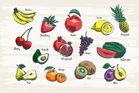 Set of fruit hand drawn with colors and name.のイラスト素材