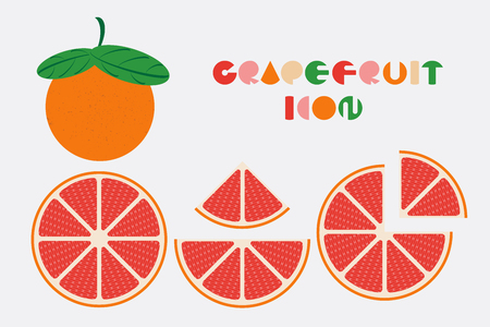 Icon set of grapefruit graphic design with circular shape.のイラスト素材
