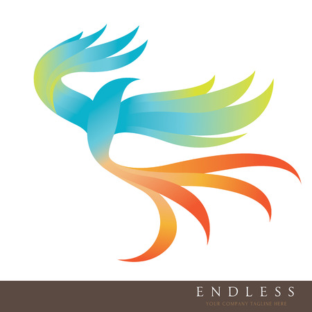 Bird ,eagle ,vector  templateのイラスト素材