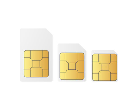 Set Sim card chip on white background. Standart, nano and micro simのイラスト素材