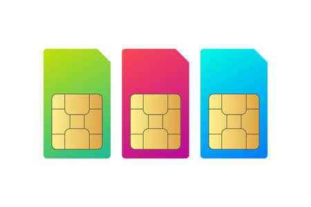 Set Sim Card Chip on white backgroundのイラスト素材