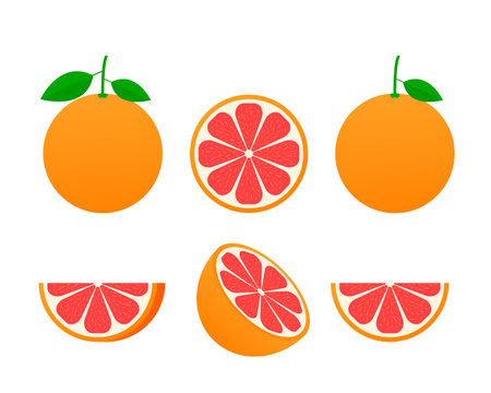 Set of isolated grapefruits. Realistic citrus image. 3d vectorのイラスト素材