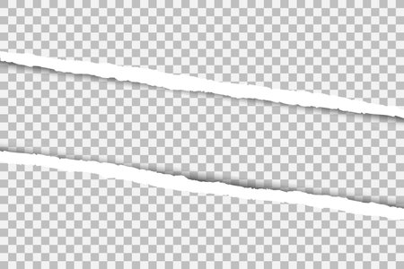 Gray paper torn. Vector illustration. A sheet of paperのイラスト素材