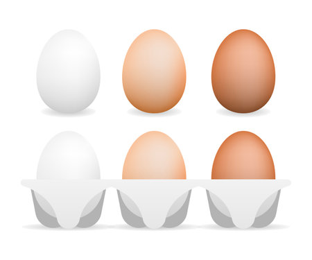 3d realistic vector aggs. Flat illustration. Healthy meal. Natural product. Vector illustration. Cooking foodのイラスト素材