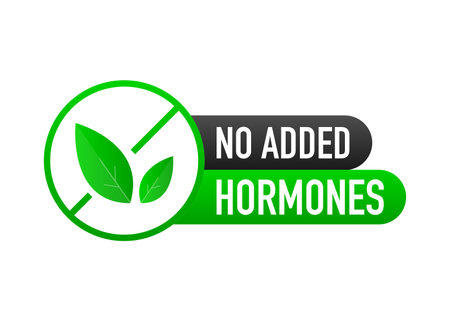 No added hormones, no added antibiotics green flat banner on white background. Vector illustrationのイラスト素材