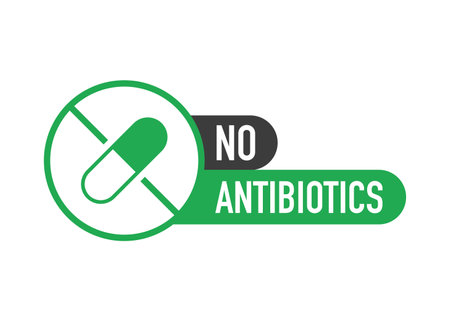 No hormones, no antibiotics green flat banner on white background. Vector illustrationのイラスト素材