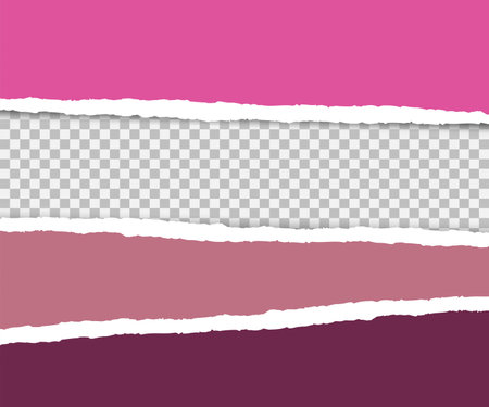 Gray background with copyspace and torn paper edge. Vector illustrationのイラスト素材