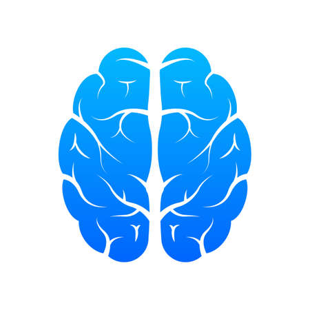 Human brain medical. Internal organ. Neural network. Brainstorming, idea.のイラスト素材