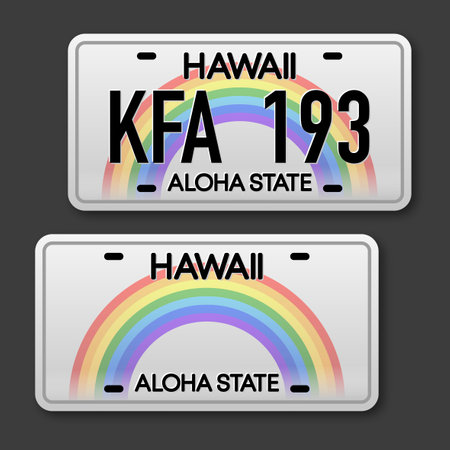 Retro car plate for banner design. Aloha state. Isolated vector illustration. Business, icon setのイラスト素材