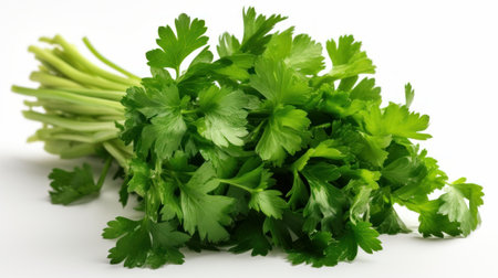Fresh italian parsley on white background. Generative AIの素材