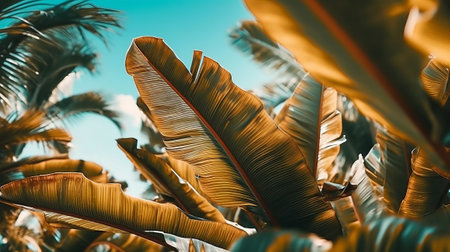 Beautiful wallpapers textures and backgrounds. Generative AI.の素材