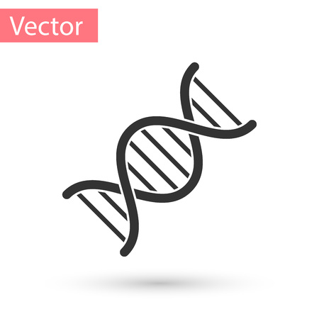 Grey DNA symbol icon isolated on white background. Vector Illustrationのイラスト素材