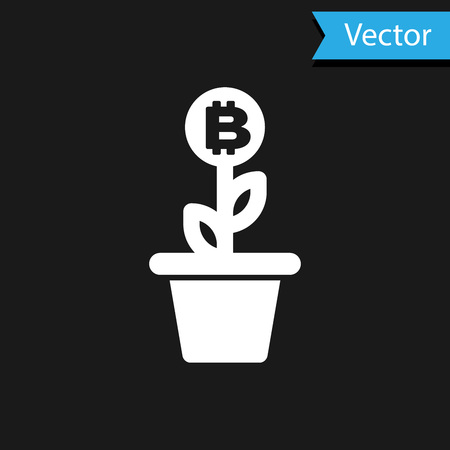 White Bitcoin plant in the pot icon isolated on black background. Business investment growth concept. Blockchain technology, cryptocurrency mining. Vector Illustrationのイラスト素材