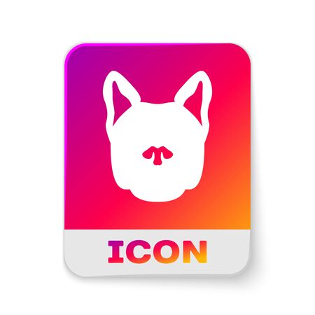 White Dog icon isolated on white background. Rectangle color button. Vector Illustrationのイラスト素材
