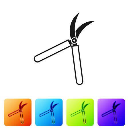 Black Gardening handmade scissors for trimming icon isolated on white background. Pruning shears with wooden handles. Set icon in color square buttons. Vector Illustrationのイラスト素材