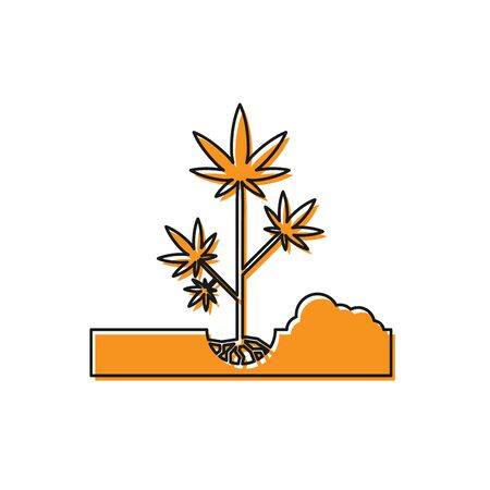 Orange Planting marijuana or cannabis plant in the ground icon isolated on white background. Marijuana growing concept. Hemp symbol. Vector Illustrationのイラスト素材